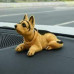 car dashboard moving dog